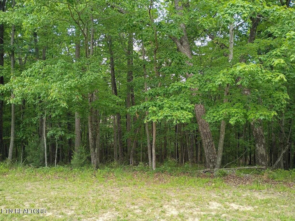 Photo of 112 Brummel Way, Crossville, TN 38558 (MLS # 1341355)