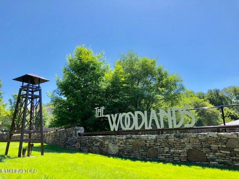 3915 Cherokee Woods Way 202 Knoxville TN 37920