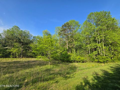 Tiny photo for 33 Indigo Bunting Drive, Harriman, TN 37748 (MLS # 1320673)
