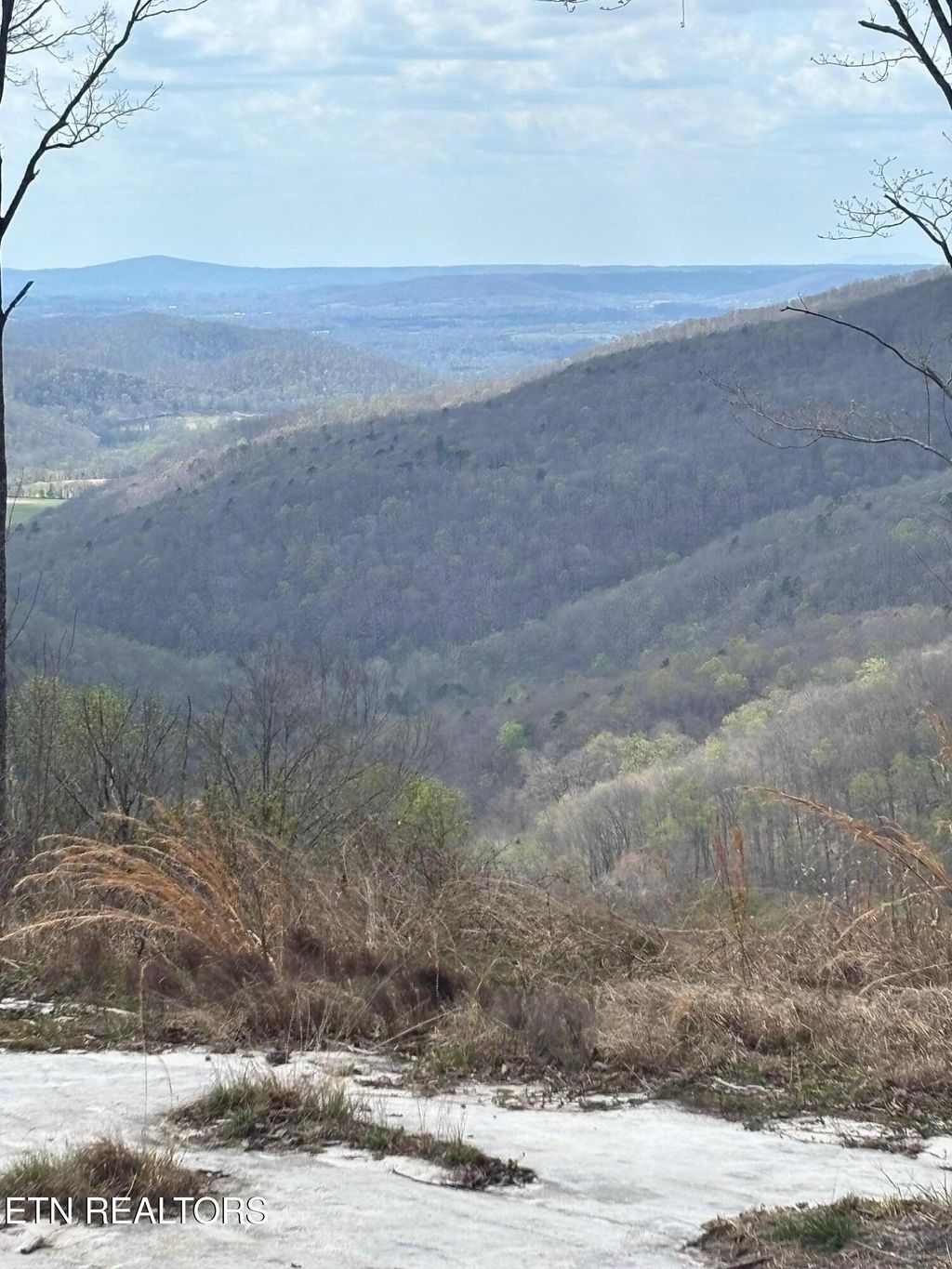 Photo of 1560 E Overlook Rd, Monterey, TN 38574 (MLS # 1334894)