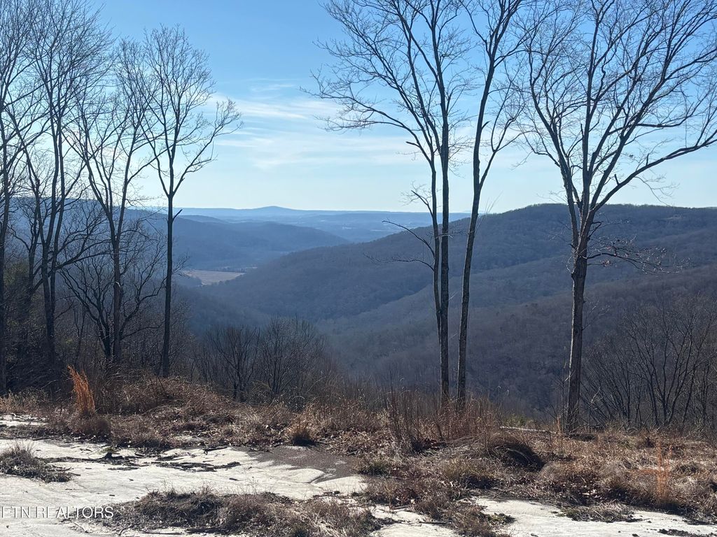 Photo of 1560 E Overlook Rd, Monterey, TN 38574 (MLS # 1334894)