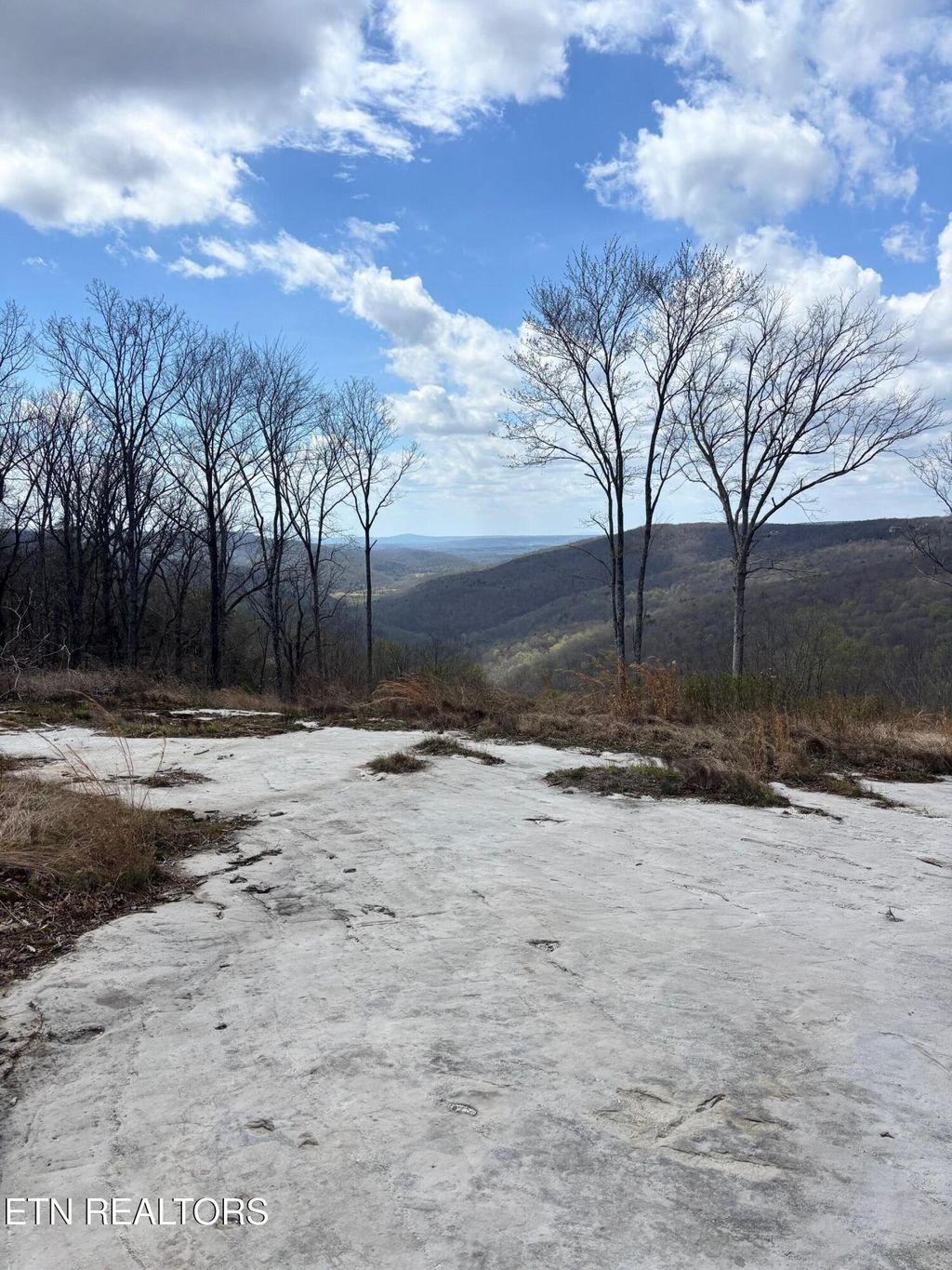 Photo of 1560 E Overlook Rd, Monterey, TN 38574 (MLS # 1334894)