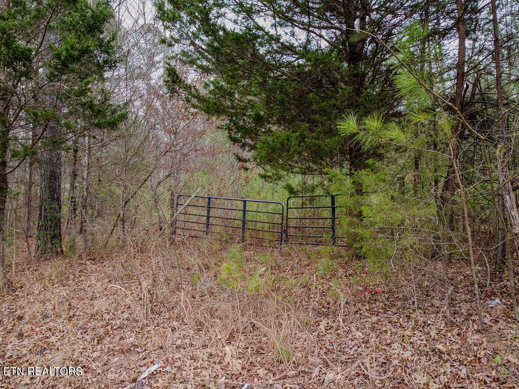 1397 County Road 609