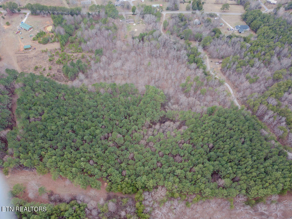 1397 County Road 609