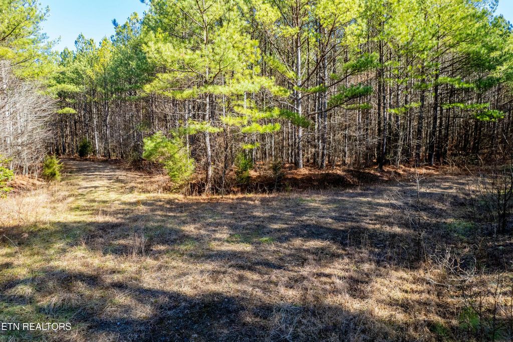 Photo of Airport Rd, Rockwood, TN 37854 (MLS # 1289463)