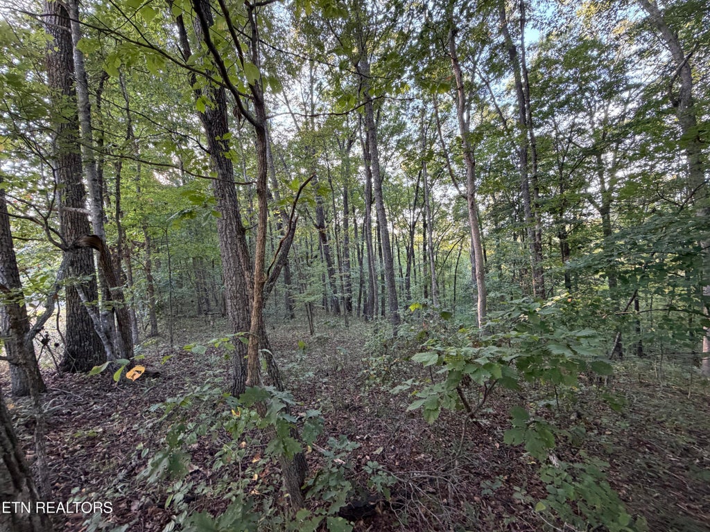 Photo of 11 Poston, Monterey, TN 38574 (MLS # 1356075)