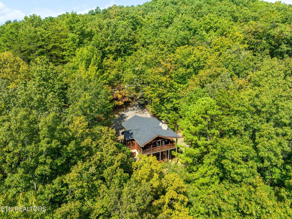 Photo of 4062 Chamberlain Lane, Sevierville, TN 37862 (MLS # 1325170)