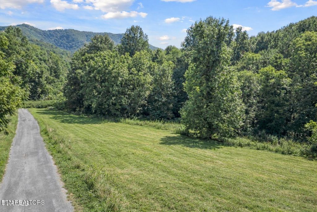 Photo of 19 Cecil Davis Rd, Greeneville, TN 37743 (MLS # 1332807)