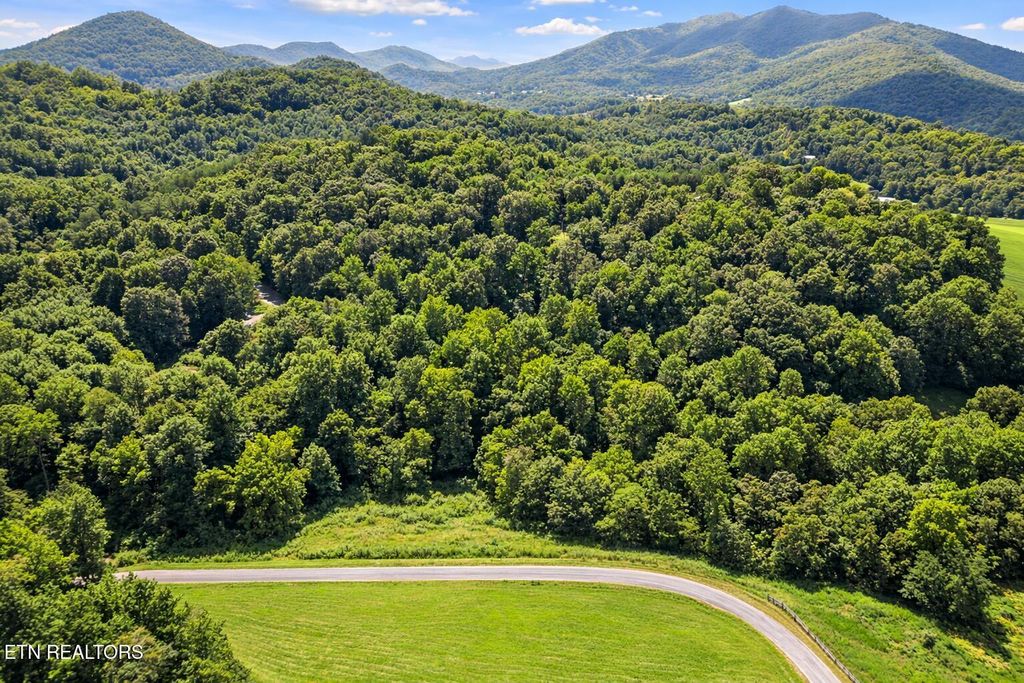 Photo of 19 Cecil Davis Rd, Greeneville, TN 37743 (MLS # 1332807)