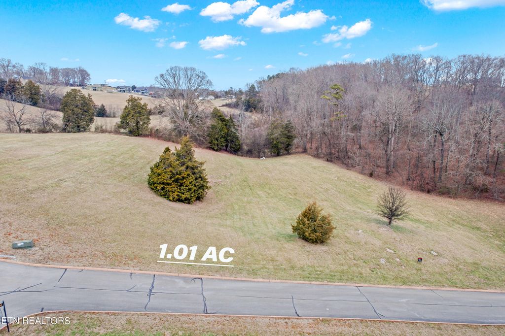 Photo of 65 Cow Poke Lane, Rutledge, TN 37861 (MLS # 1331539)