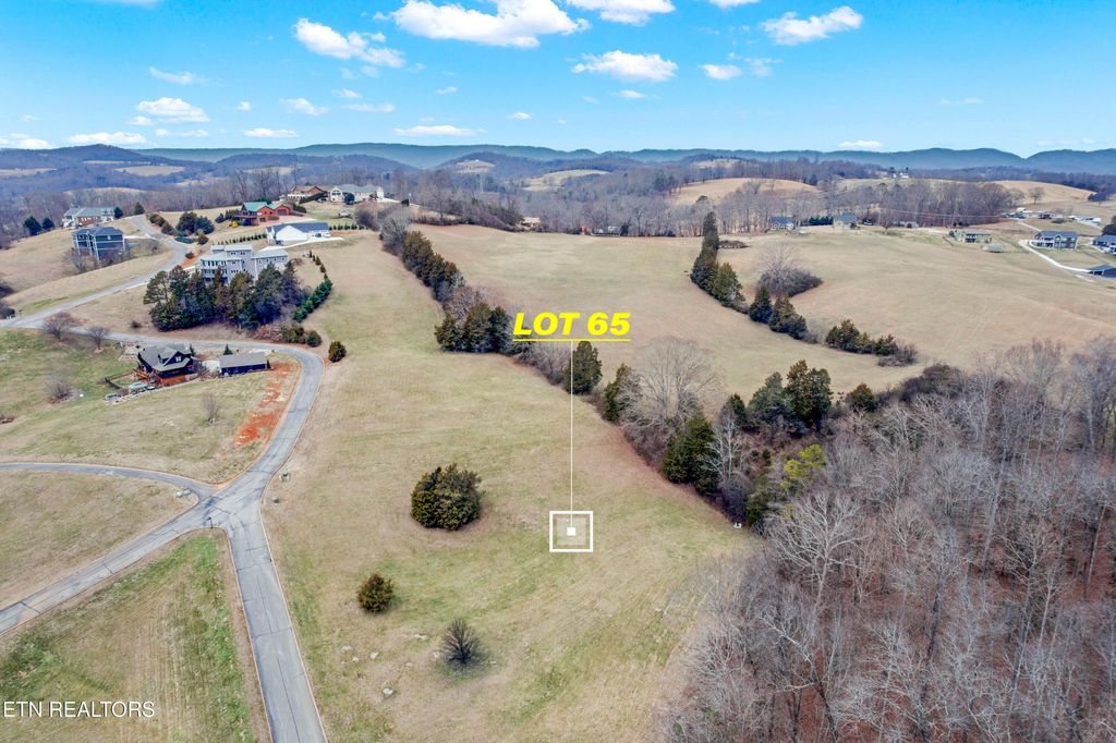 Photo of 65 Cow Poke Lane, Rutledge, TN 37861 (MLS # 1331539)