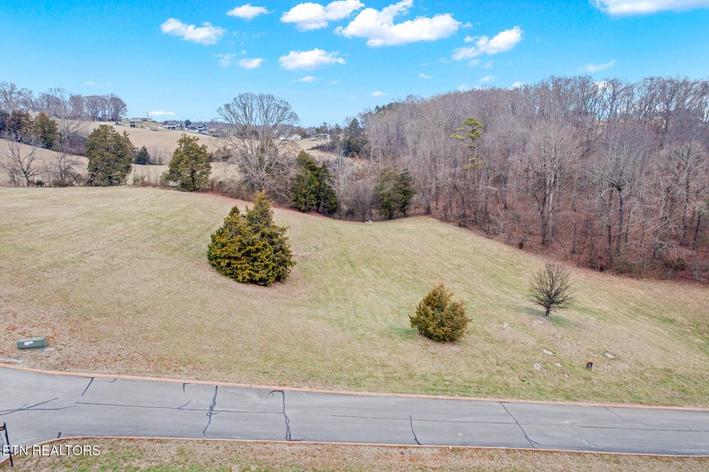 Photo of 65 Cow Poke Lane, Rutledge, TN 37861 (MLS # 1331539)