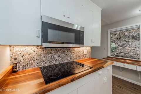 Tiny photo for 231 Silverbell Lane, Gatlinburg, TN 37738 (MLS # 1335532)