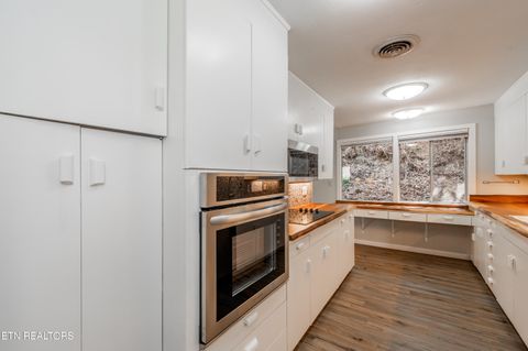 Tiny photo for 231 Silverbell Lane, Gatlinburg, TN 37738 (MLS # 1335532)