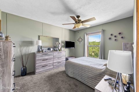 Tiny photo for 142 Honey Creek Lane, Rutledge, TN 37861 (MLS # 1343612)
