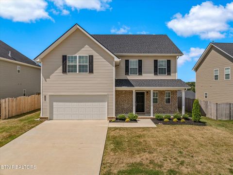 11345 Flame Willow Lane Knoxville TN 37932