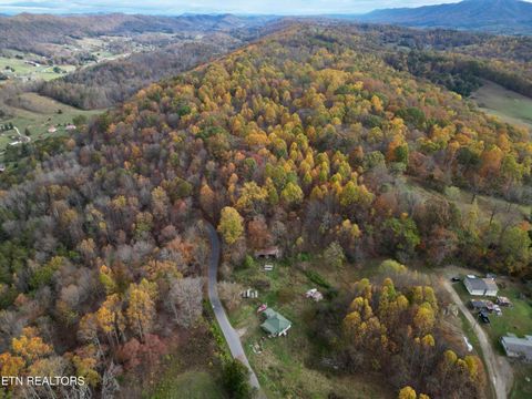 480 Warwick Chapel Rd Luttrell TN 37779