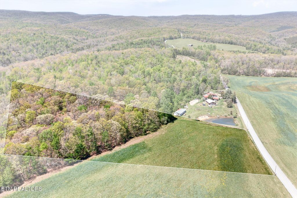 Photo of 575 Smith Mountain Rd, Rockwood, TN 37854 (MLS # 1337601)
