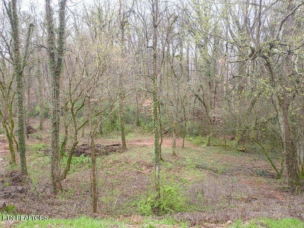 Photo of 3827 Maloney Rd, Knoxville, TN 37920 (MLS # 1288331)