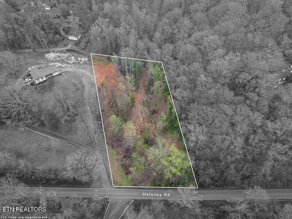 Photo of 3827 Maloney Rd, Knoxville, TN 37920 (MLS # 1288331)
