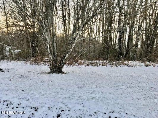 069 145.00 LETNER RD, HELENWOOD, TN 37755 - Image 2d1ee1cf5461a92c27bd39b4328f45cc/2975828211
