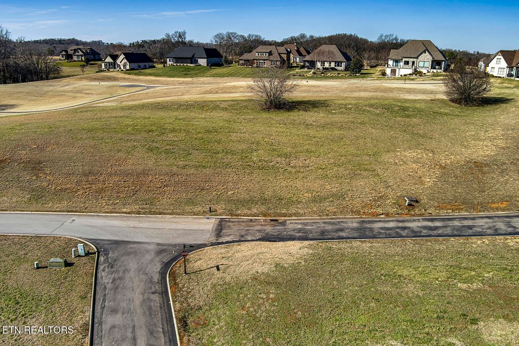 Photo of 195 Killdeer Drive, Vonore, TN 37885 (MLS # 1290110)