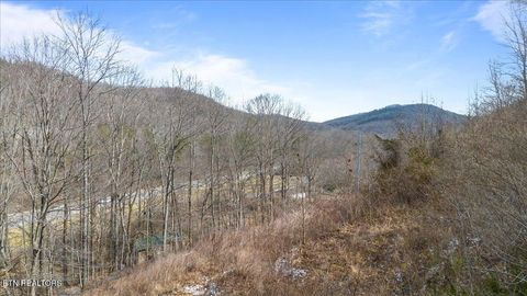 Photo of Straight Fork Rd, Pioneer, TN 37847 (MLS # 1330571)