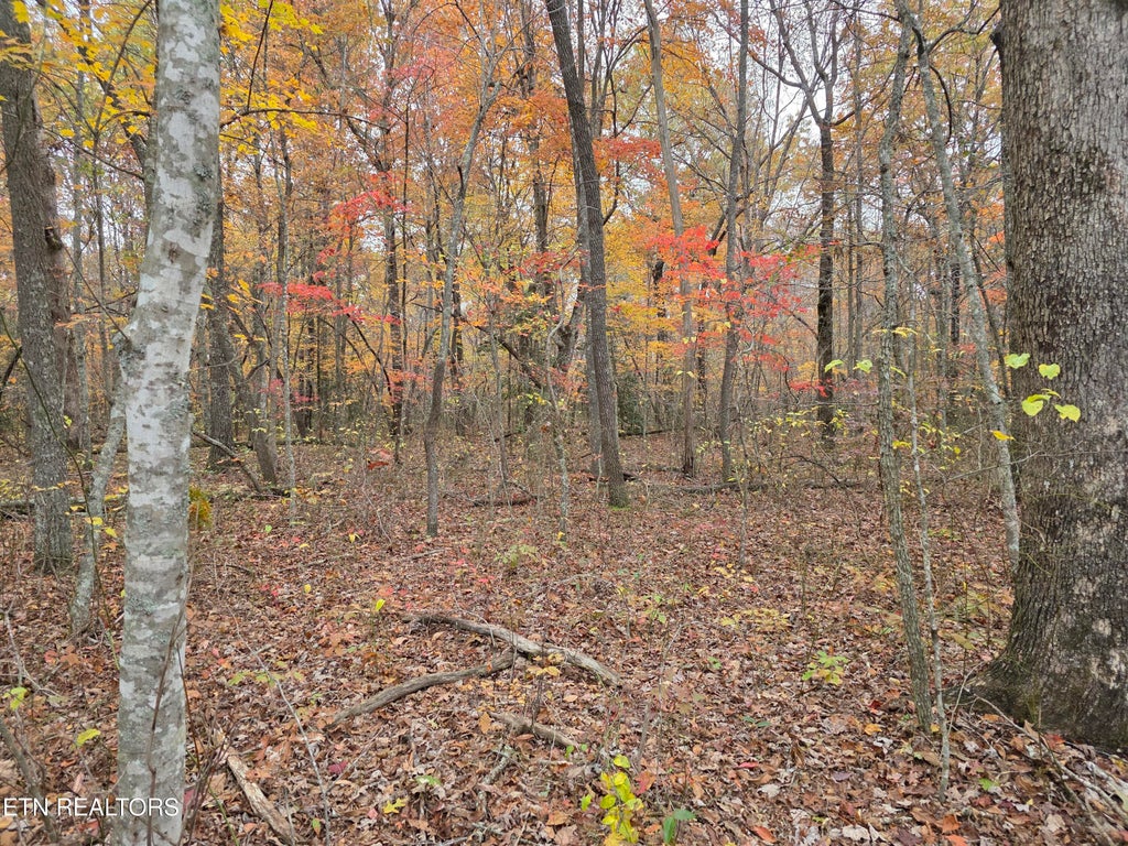 Photo of 6 Divide Tr, Monterey, TN 38574 (MLS # 1357146)