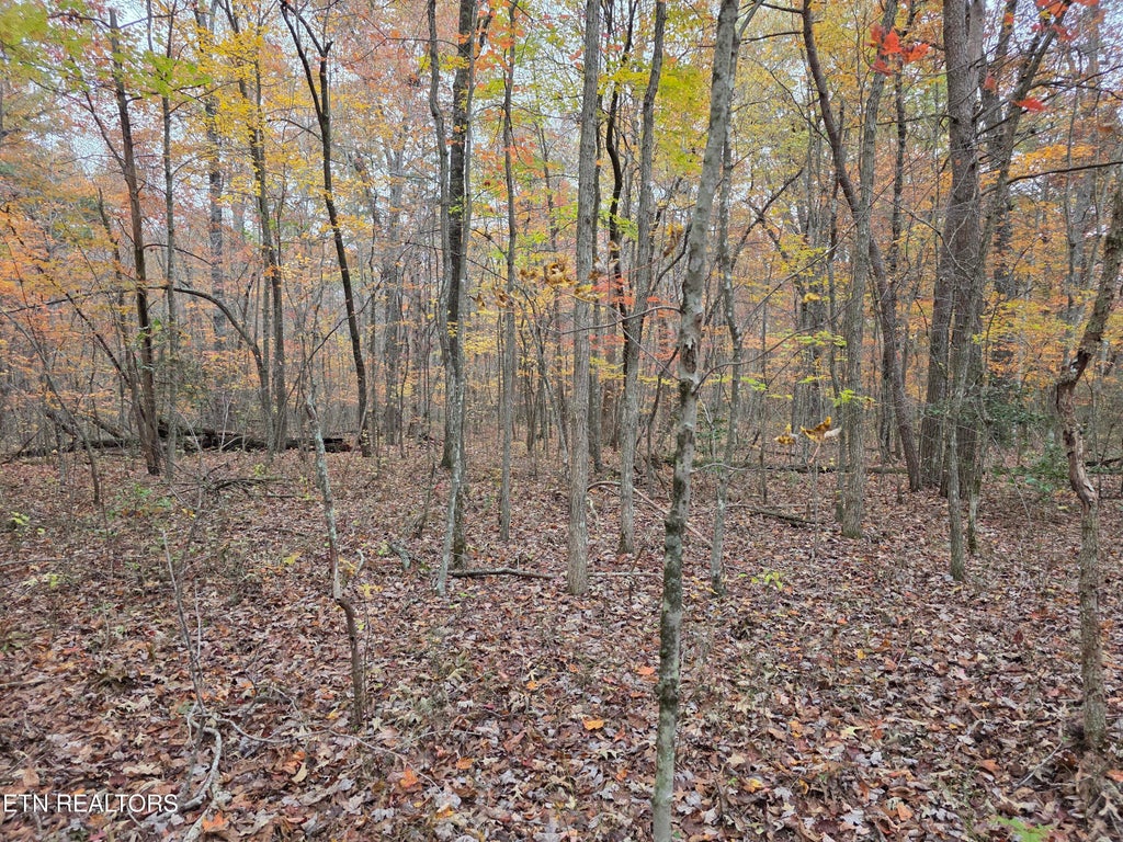 Photo of 6 Divide Tr, Monterey, TN 38574 (MLS # 1357146)