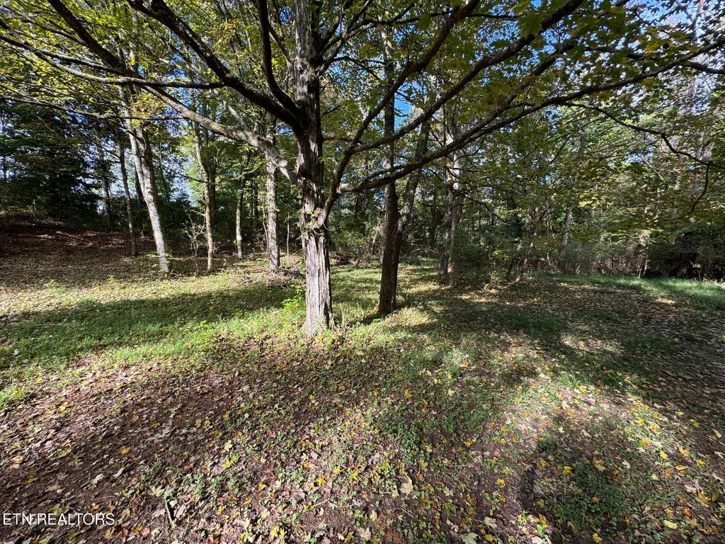 Photo of 100 County Road 671, Athens, TN 37303 (MLS # 1360509)