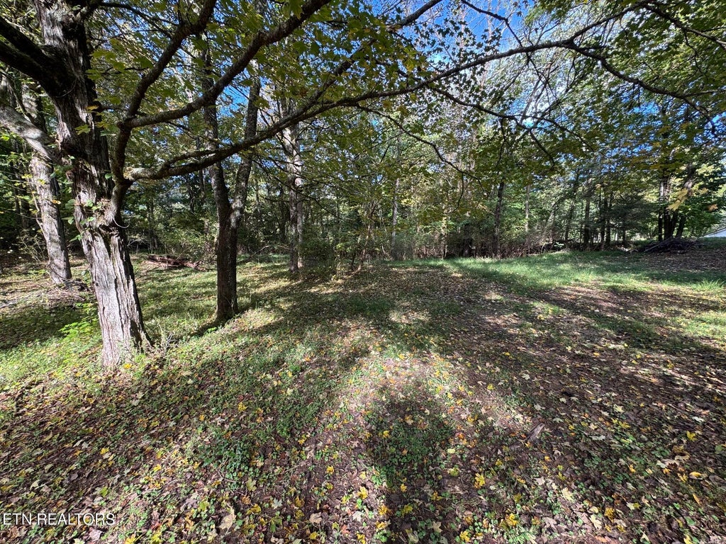 Photo of 100 County Road 671, Athens, TN 37303 (MLS # 1360509)