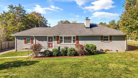 Photo of 4035 Longwood Drive, Knoxville, TN 37918 (MLS # 1318872)
