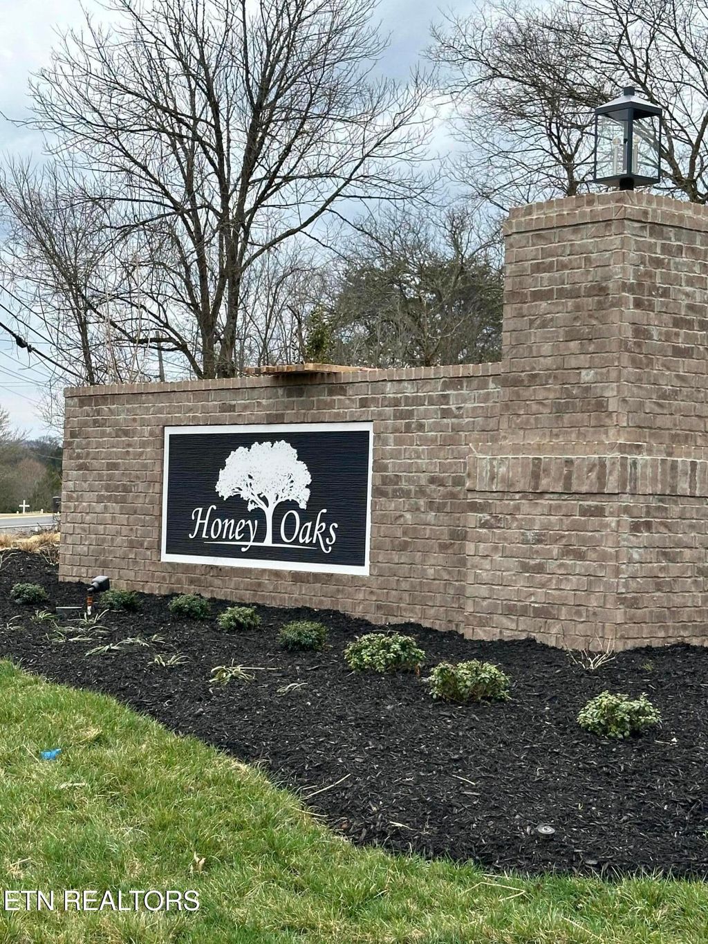 Photo of 8050 Tree Line Lane, Corryton, TN 37721 (MLS # 1283845)