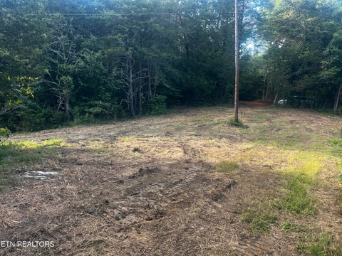 Tiny photo for 9150 Brownlow Newman Lane, Knoxville, TN 37914 (MLS # 1357493)