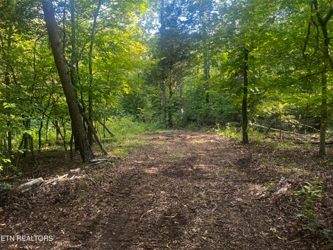 Tiny photo for 9150 Brownlow Newman Lane, Knoxville, TN 37914 (MLS # 1357493)