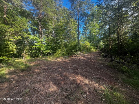 Tiny photo for 9150 Brownlow Newman Lane, Knoxville, TN 37914 (MLS # 1357493)