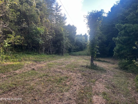 Tiny photo for 9150 Brownlow Newman Lane, Knoxville, TN 37914 (MLS # 1357493)