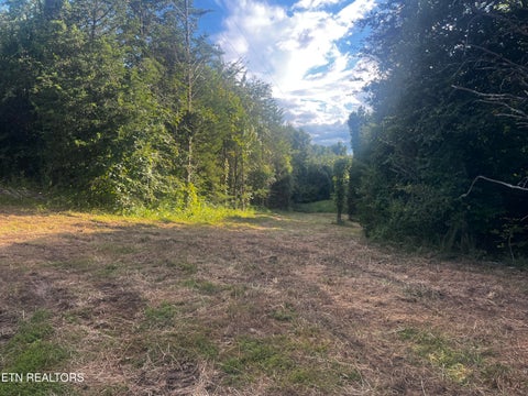 Tiny photo for 9150 Brownlow Newman Lane, Knoxville, TN 37914 (MLS # 1357493)