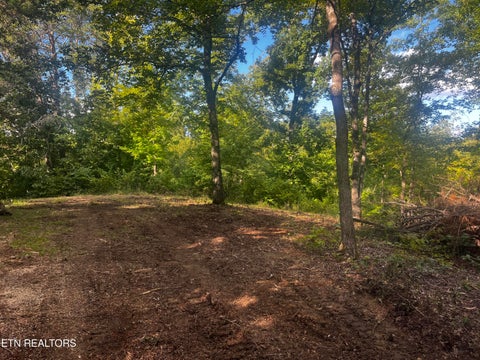 Tiny photo for 9150 Brownlow Newman Lane, Knoxville, TN 37914 (MLS # 1357493)