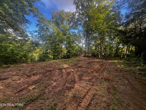 Tiny photo for 9150 Brownlow Newman Lane, Knoxville, TN 37914 (MLS # 1357493)