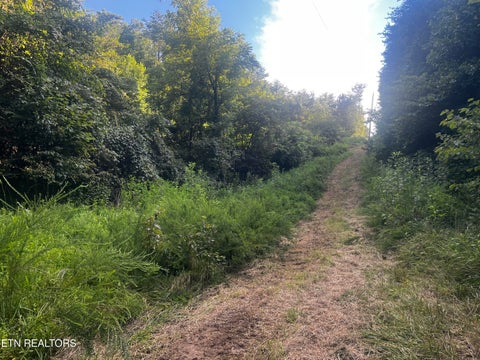 Tiny photo for 9150 Brownlow Newman Lane, Knoxville, TN 37914 (MLS # 1357493)