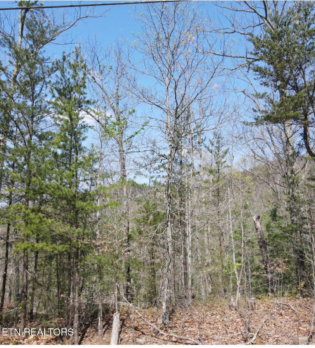 Photo of Hickory Tree St, Sevierville, TN 37876 (MLS # 1290679)