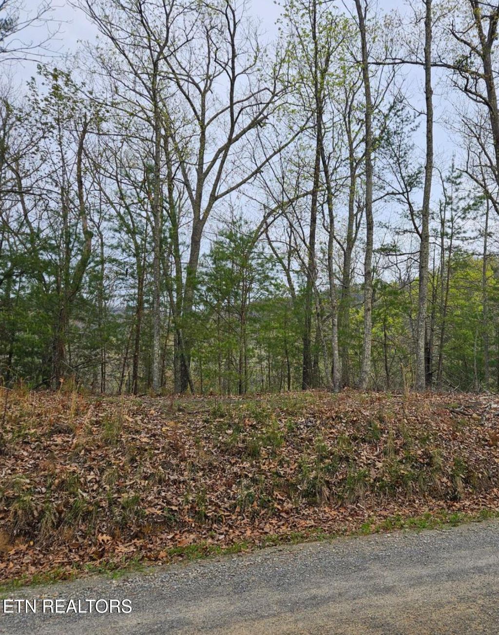 Photo of Hickory Tree St, Sevierville, TN 37876 (MLS # 1290679)