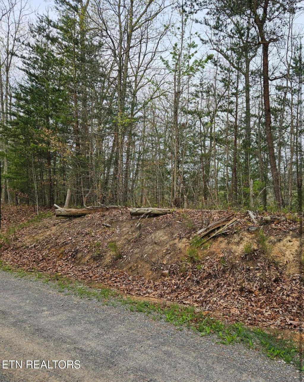 Photo of Hickory Tree St, Sevierville, TN 37876 (MLS # 1290679)