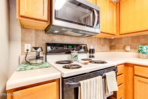 Tiny photo for 7729 Edith Keeler Lane, Knoxville, TN 37938 (MLS # 1334038)