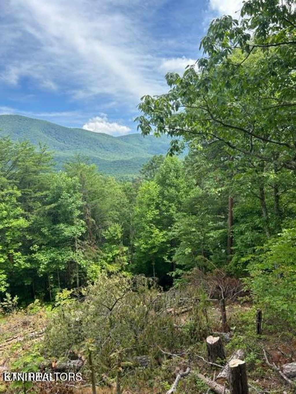 Photo of 000 Smithfiled Rd, Tellico Plains, TN 37385 (MLS # 1316920)