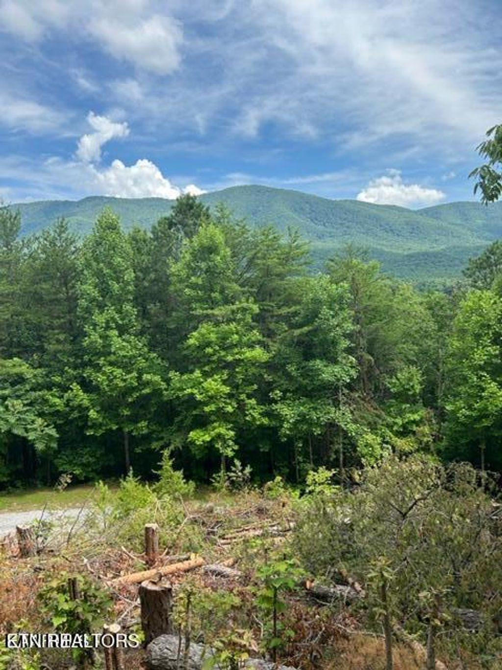 Photo of 000 Smithfiled Rd, Tellico Plains, TN 37385 (MLS # 1316920)