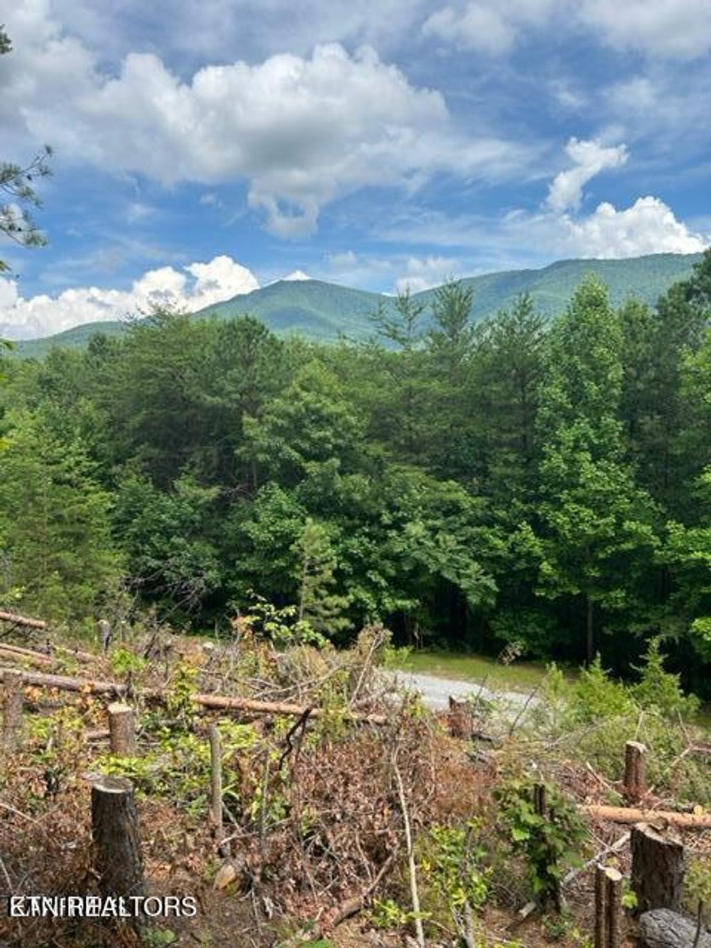 Photo of 000 Smithfiled Rd, Tellico Plains, TN 37385 (MLS # 1316920)