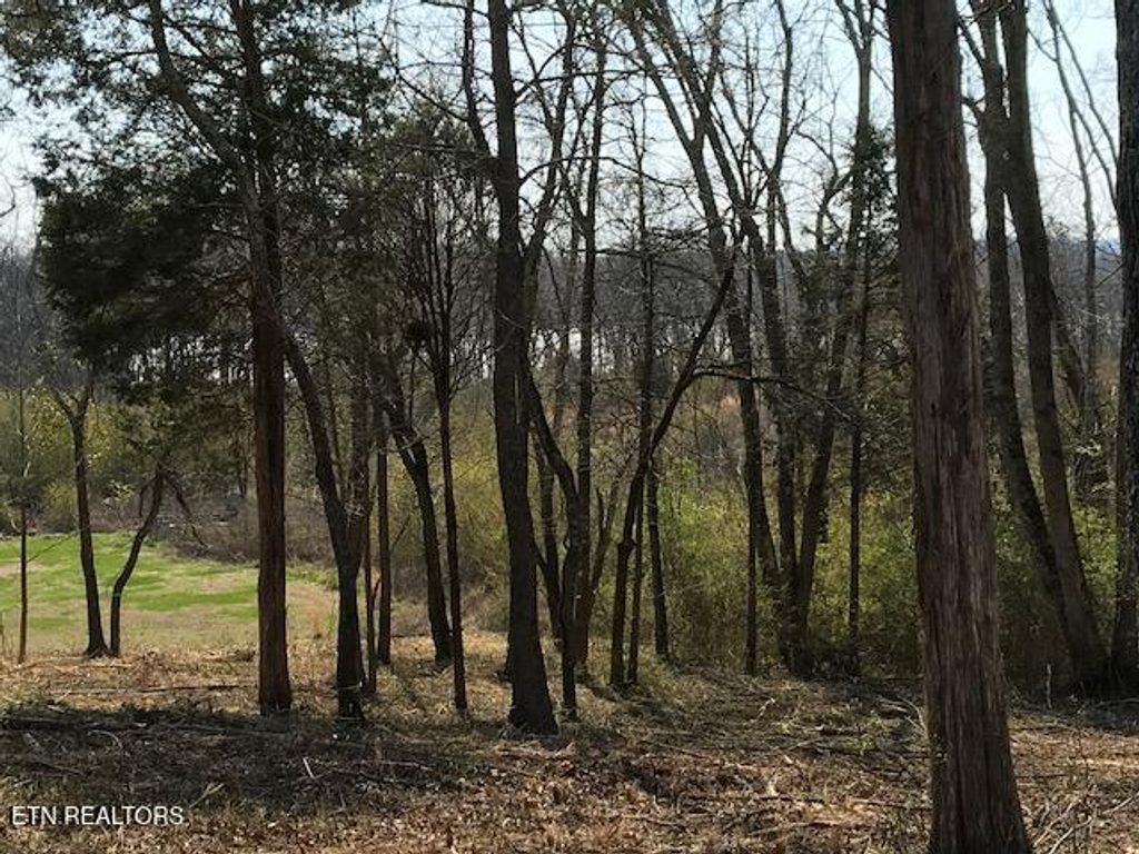 Photo of Star Lane, Rockwood, TN 37854 (MLS # 1324367)