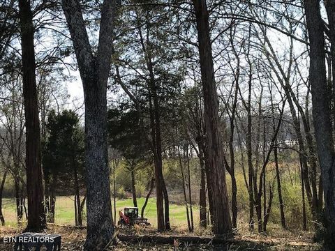 Tiny photo for Star Lane, Rockwood, TN 37854 (MLS # 1324367)